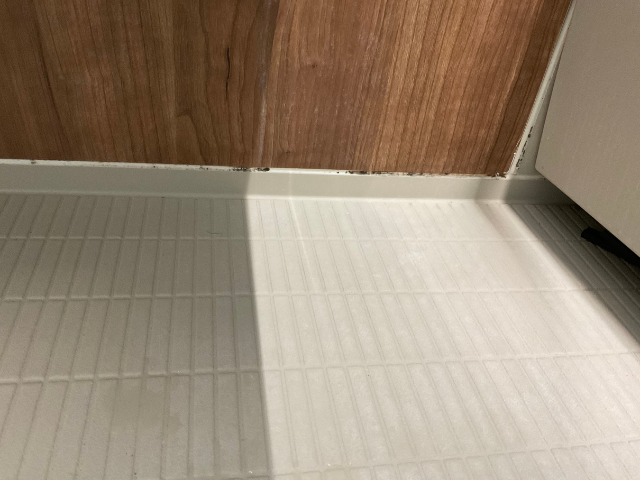 カビ取り一発