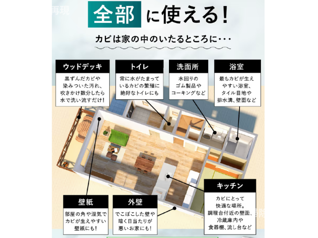 モルクリアプロ