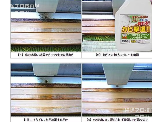 カビホワイト