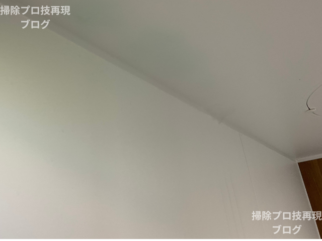 アズマジックカビ取り剤比較