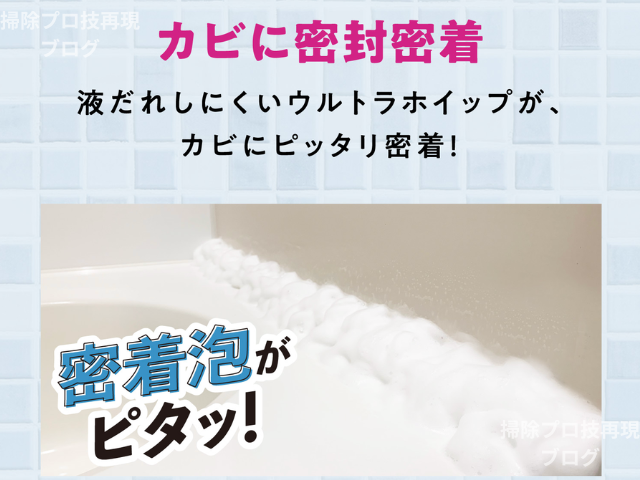 クリーンプラネットお風呂場のカビ丸洗浄