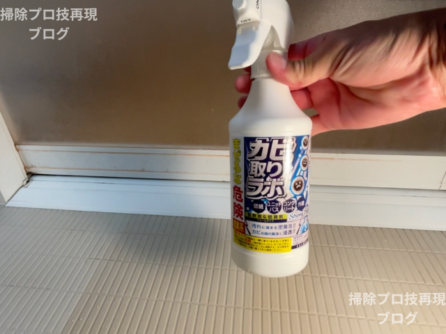 カビ取りラボ　フォームタイプ