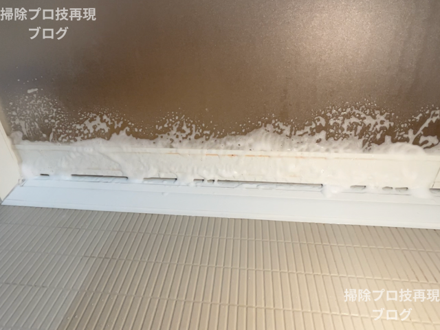 カビ取りラボ　フォームタイプ