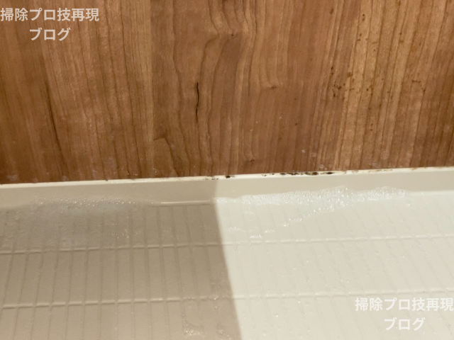 カビ取りラボ　フォームタイプ