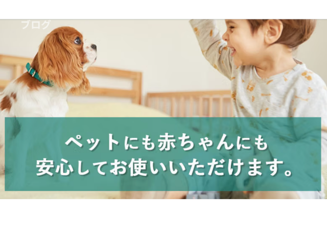ペレッティ口コミ