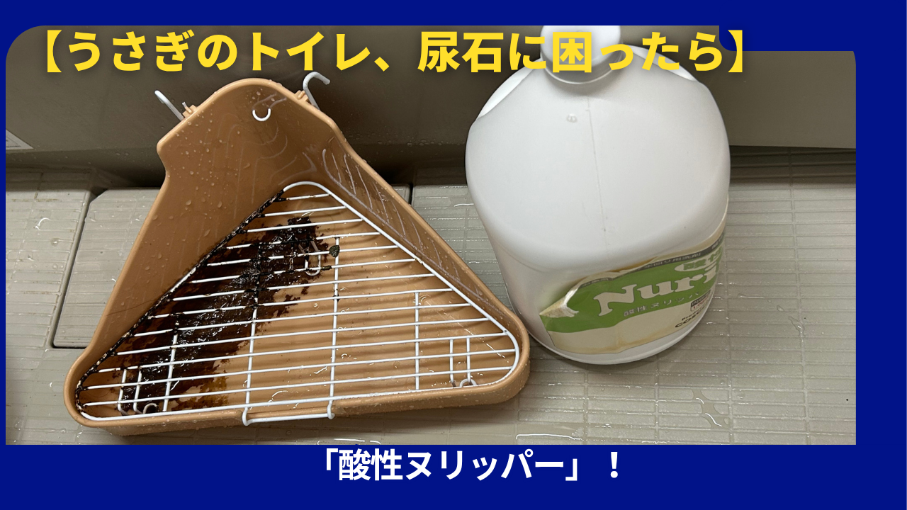 酸性ヌリッパートイレ掃除