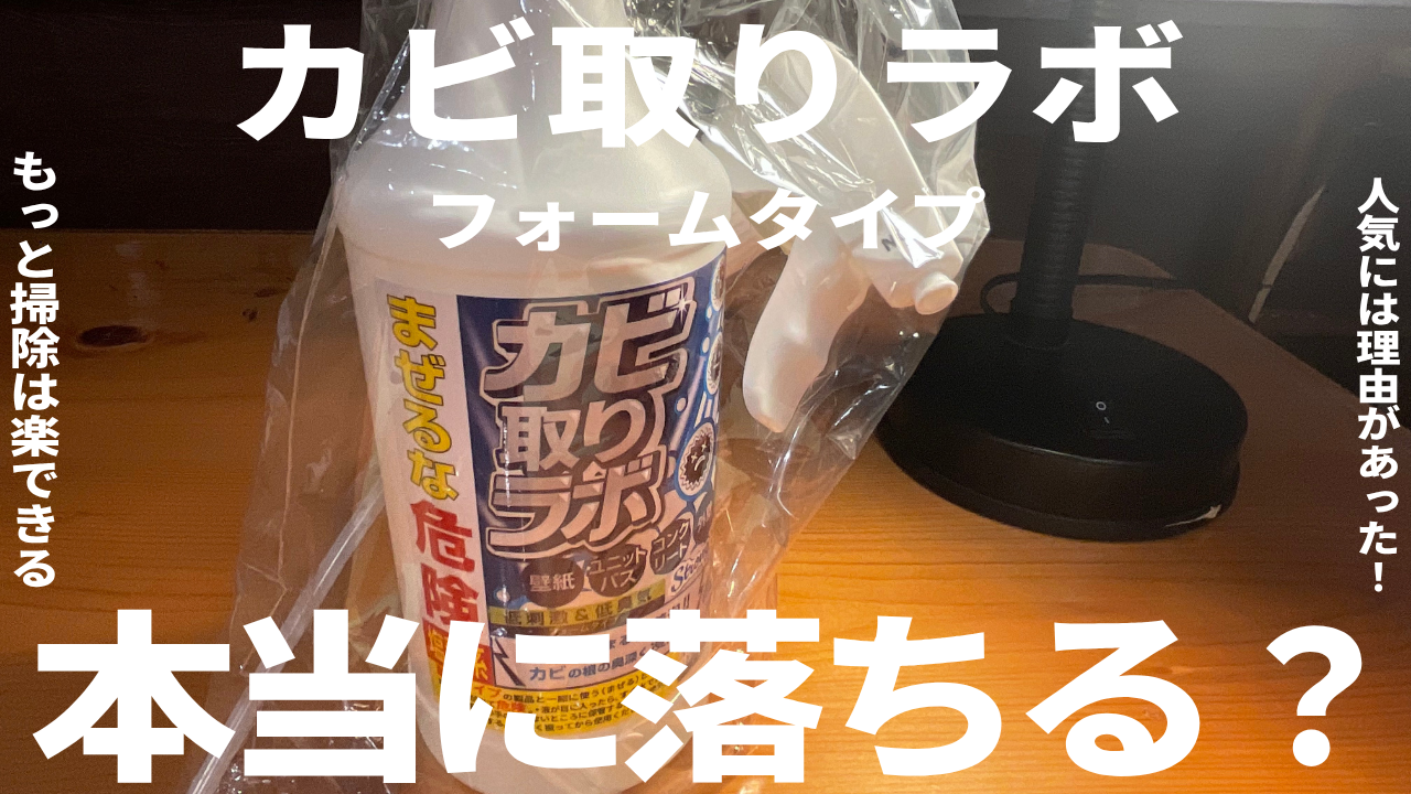 カビ取りラボ　フォームタイプ